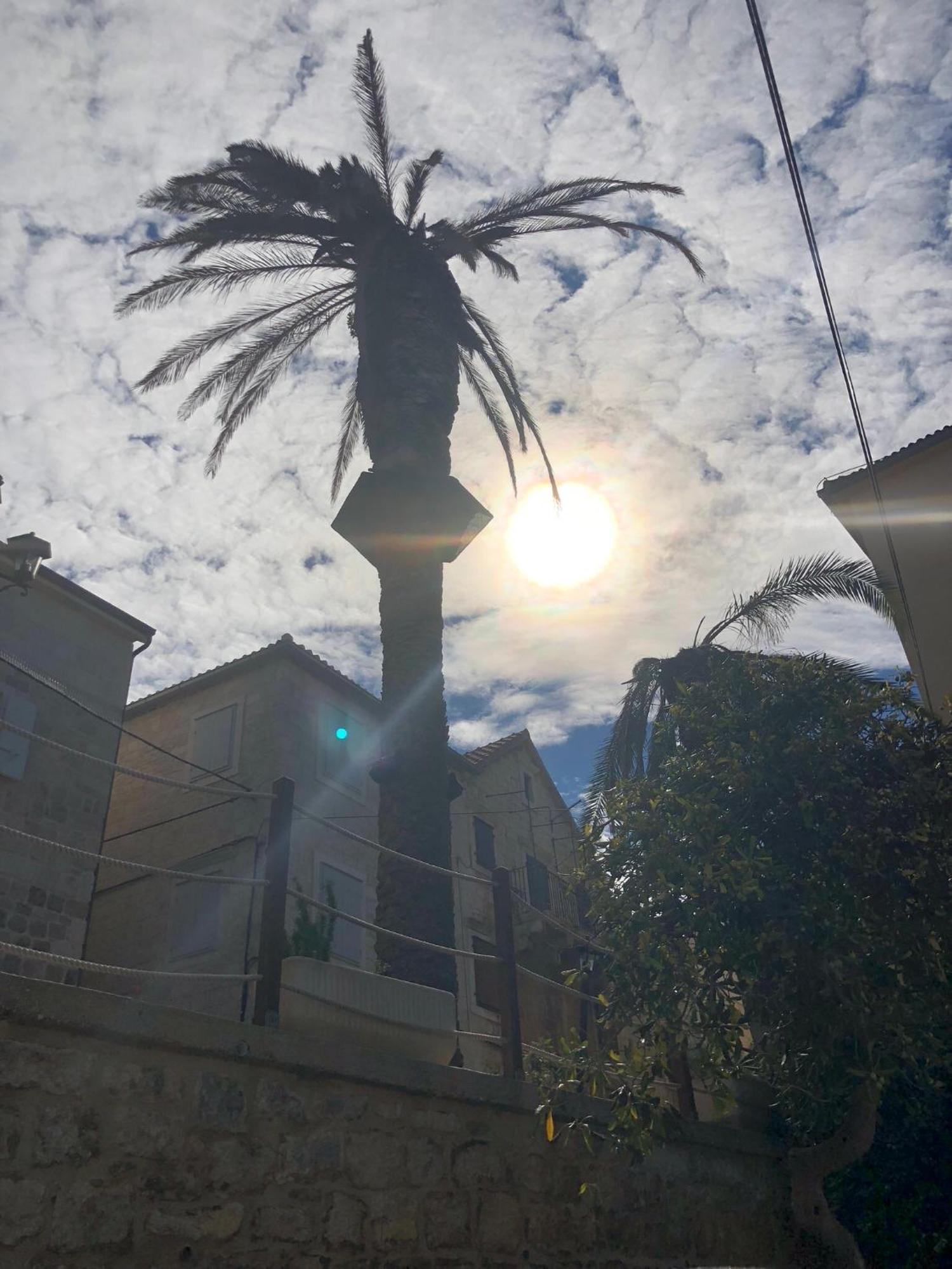 Villa Maslina Sutivan Dış mekan fotoğraf
